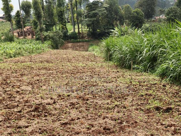 Quarter Acre Plot in Zambezi With Farming Water Connected
