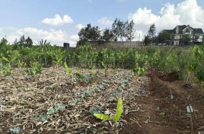 Quarter Acre Red Soil Plots in Kerarapon Drive, Ngong for Sale