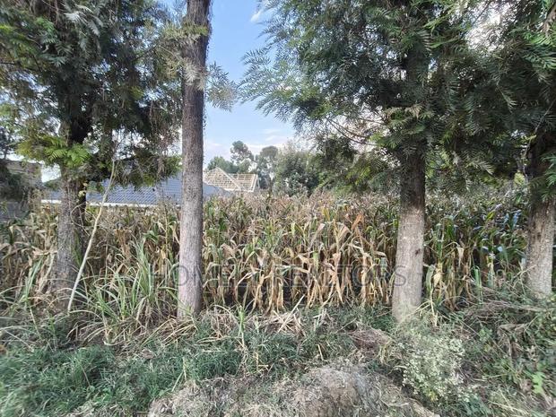Prime Residential Eighth Acre Plot on Sale in Ngong Olkeri Near Tarmac