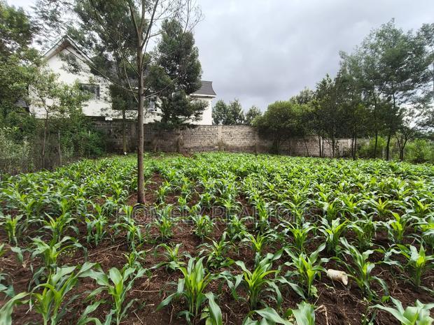 Strictly Residential Eighth Acre Plot in Kerarapon, Ngong