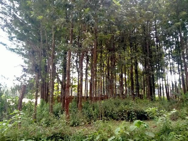 Residential Eighth Acre Plot in Kikuyu, Ondiri Near Tarmac