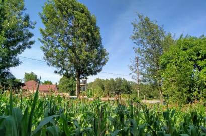 Half Acre Plot in Ngong Behind ACK Church