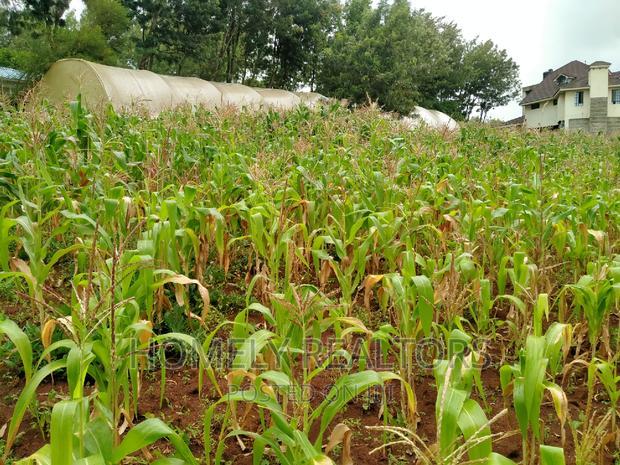 Half-Acre Plot in Ngong, Along Lemiso Rd Touching Tarmac