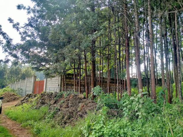 Residential Eighth Acre Plot in Kikuyu, Ondiri Near Tarmac
