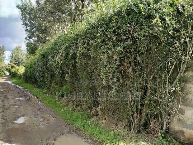 Quarter Acre in Kandisi Few Meters From Rimpa Road Tarmac