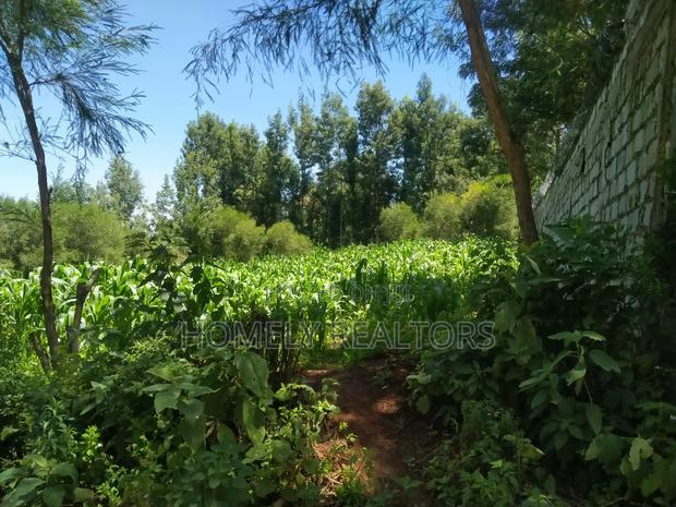 Quarter Acre Plot in Ngong Along Lemiso Road Near Tarmac