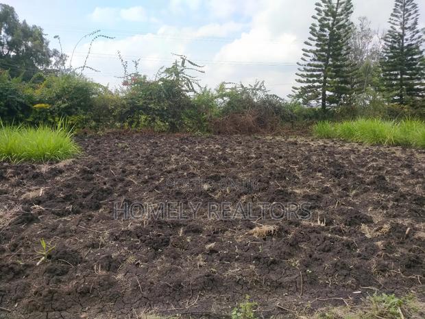 Residential Eighth Acre Plot in Ngong in Olkeri Near Tarmac