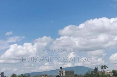 Thika Landless 100 by 100 Land Plot, (1/4 Acre) Invest in Your Future.