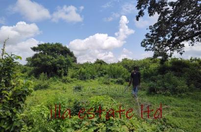 Developers Dream Plots