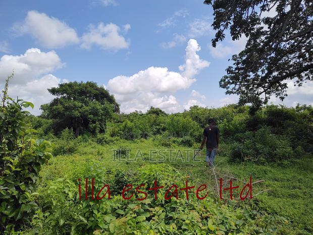 Developers Dream Plots