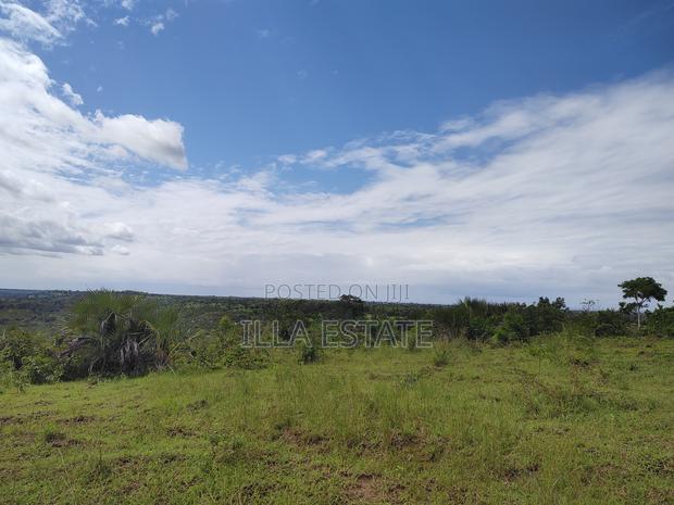 High Growth Area for Development