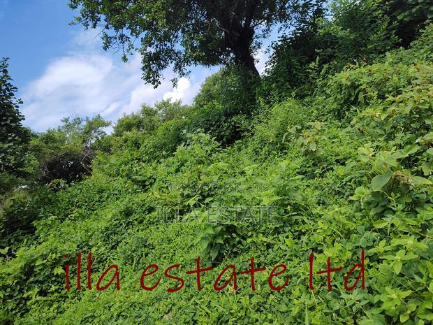 Developers Dream Plots