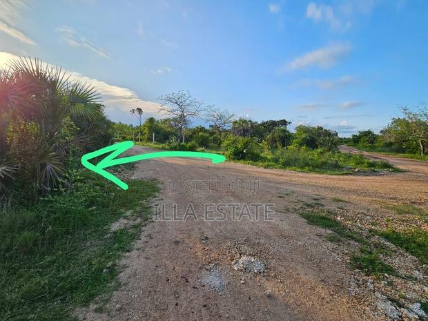 Vacant Lot, 2nd Row