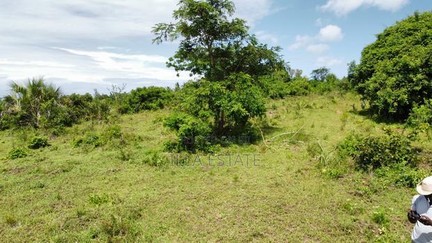 Perfect Sky-Line View Plots