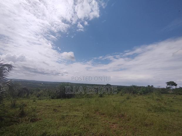 High Growth Area for Development