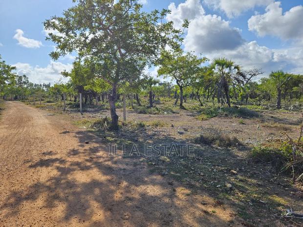 Vacant Lot, 2nd Row