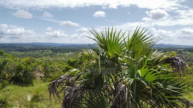 Perfect Sky-Line View Plots