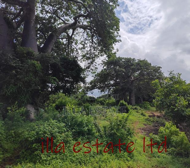 Developers Dream Plots