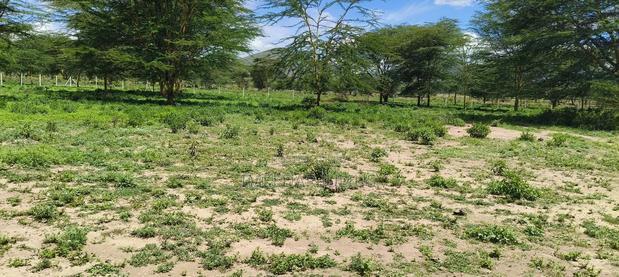 Commercial Plots in Juja