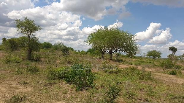 Prime Plots in Malindi
