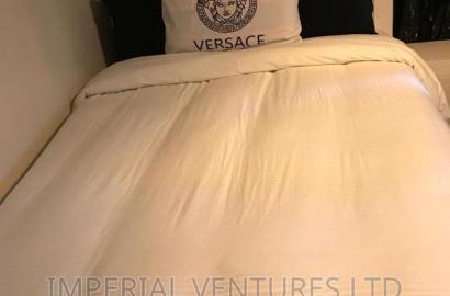 Furnished Studio Apartment in Kilimani for rent