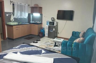Furnished Studio Apartment in Ngara for rent