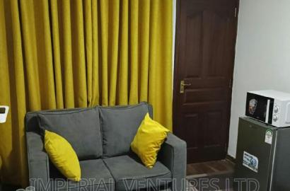 Furnished Studio Apartment in Kilimani for rent