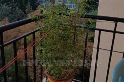 Furnished 3bdrm Apartment in Kilimani for rent