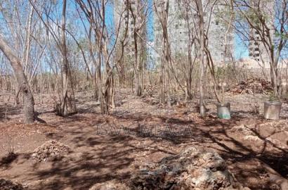 Affordable Beach Plot (Half an Acre)