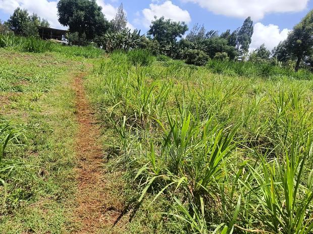 3 Acres Land, Kikuyu, Ondiri on Tarmac at Kes. 40 Per Acre
