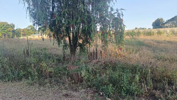 1 Acre Prime Residential Plot, Tigoni
