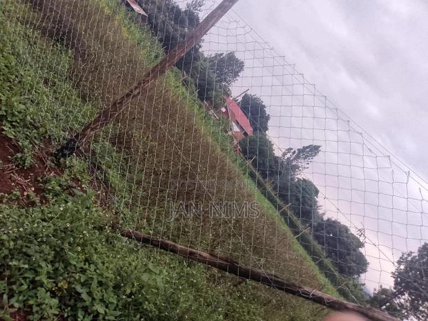 0.17 Acre Plot , Banana Near Homex,