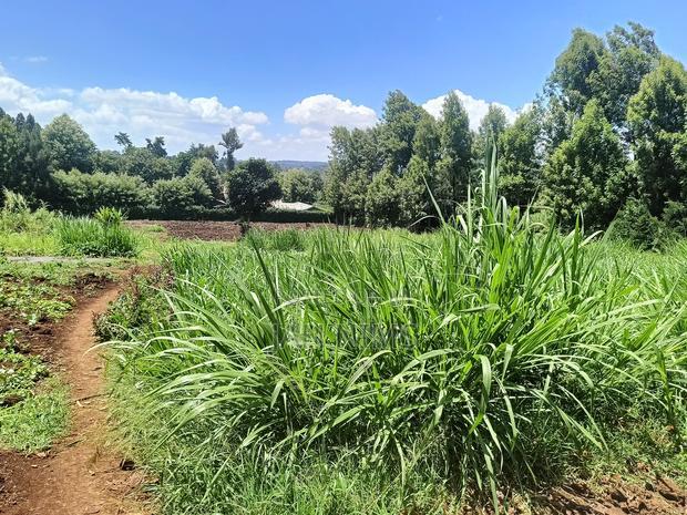3 Acres Land, Kikuyu, Ondiri on Tarmac at Kes. 40 Per Acre