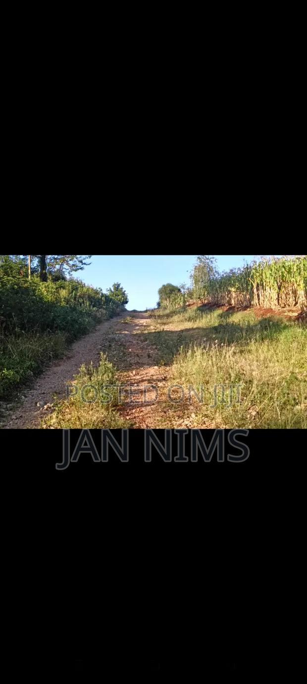 1 Acre Prime Residential Plot, Tigoni