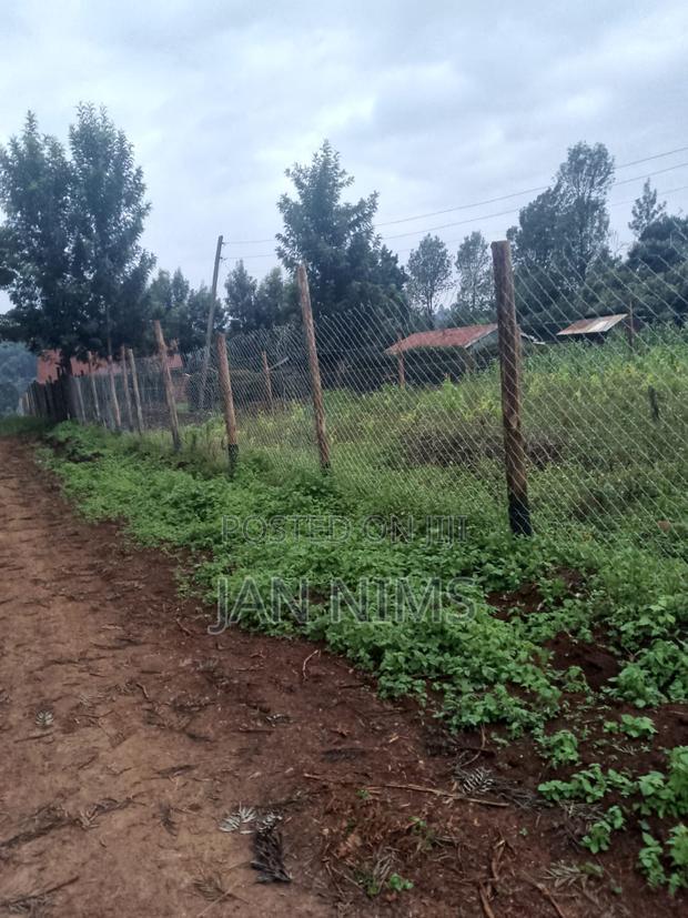 0.17 Acre Plot , Banana Near Homex,