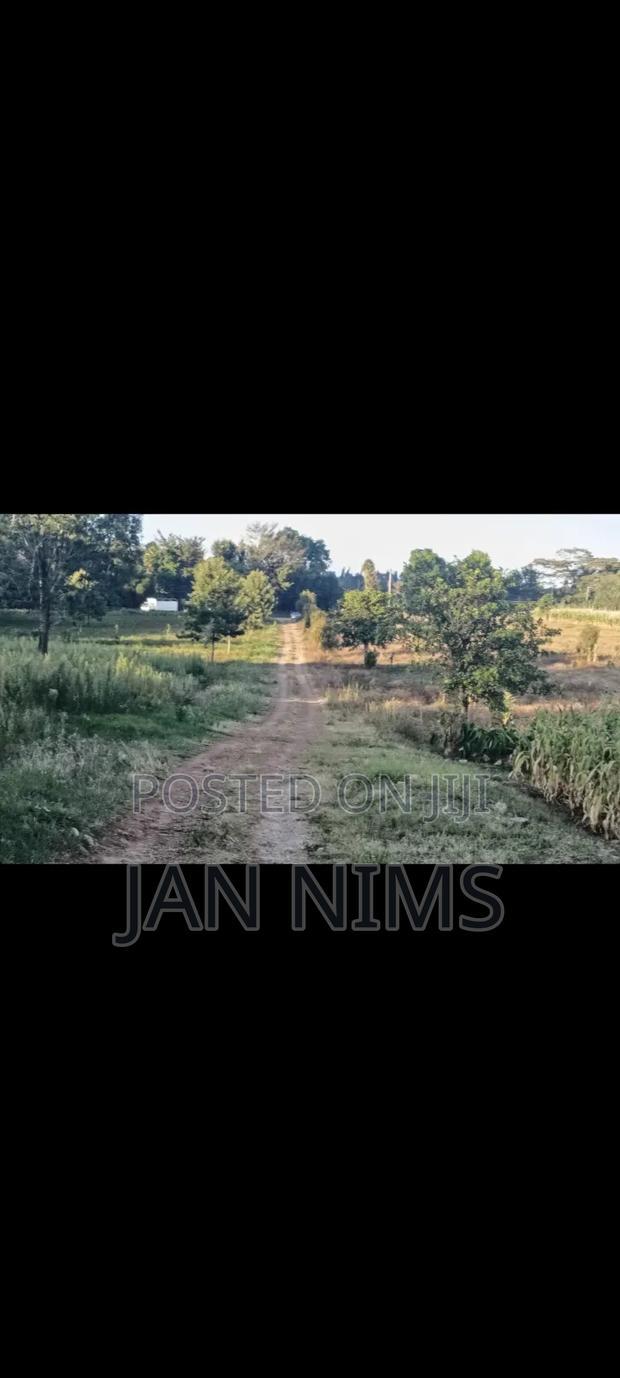 1 Acre Prime Residential Plot, Tigoni