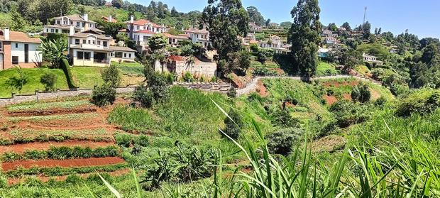 Prime 8 Acres Redhill, Kiambu