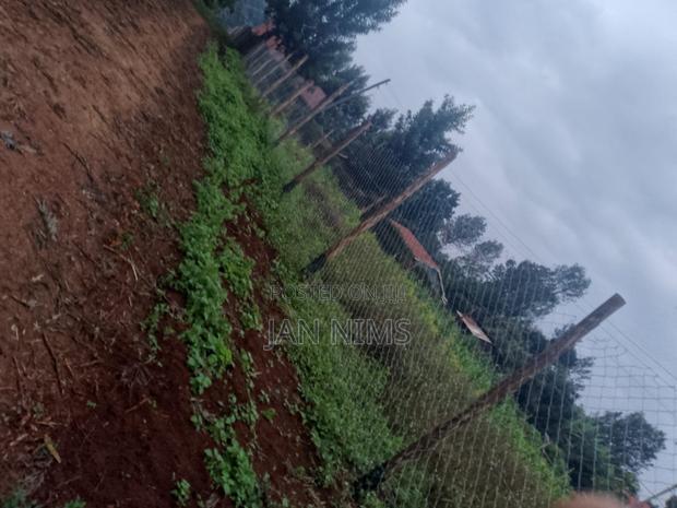 0.17 Acre Plot , Banana Near Homex,