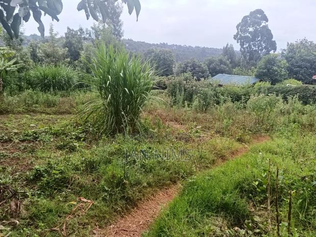 1/4 Acre Residential Plot, Ngong Kibiko, 300metres From Tarmac