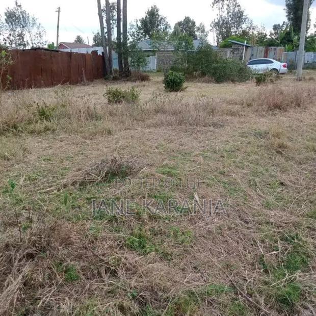Prime Plot Kenol Town Muranga County 40 by 80 2.5M