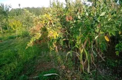 1 Acre of Land Muranga County 6km From Thika Garisa Highway