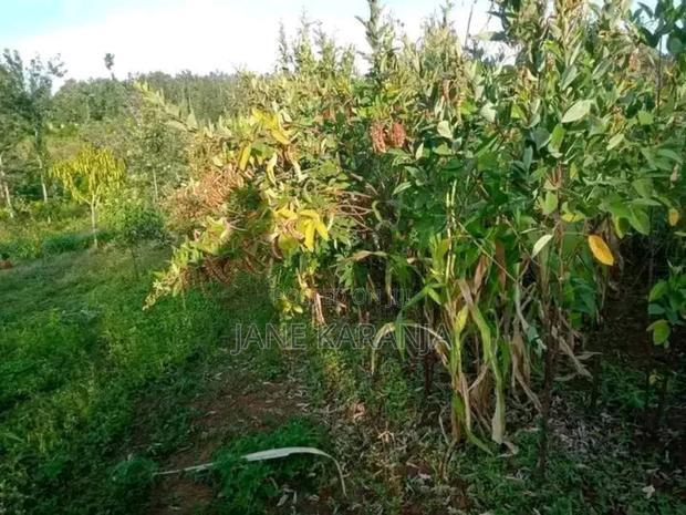 1 Acre of Land Muranga County 6km From Thika Garisa Highway