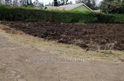 Prime Plot Kenol Town Muranga County 40 by 80 2.5M