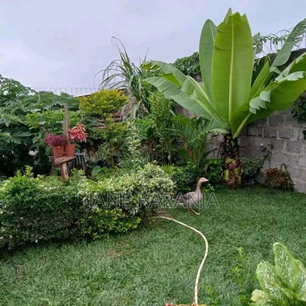 33 by 100 Plot for Quick Sale in Juja