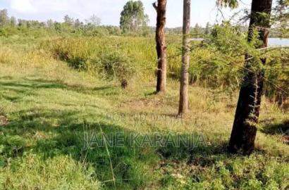 80 by 100 Quick Sale Plot at Kabati Methi Shopping Center