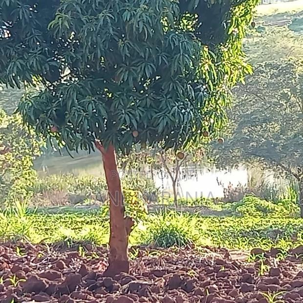 3 Acres for Sale Muranga 3.8 Per Acre