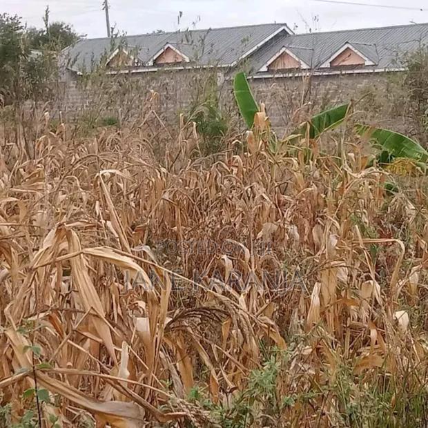 Ngoliba Thika 40 by 80 Plot 1.6m