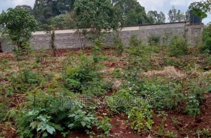 Prime Plot 50by 100 for Sale Gachie Kiambu