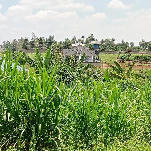 Slightly Bigger Than an Eighth Plot Mugutha Ruiru 4.5m