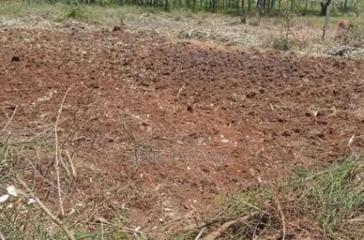 Plot for Sale at Thika Kiahuria